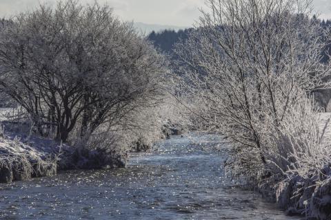 Winter in Sindlhausen