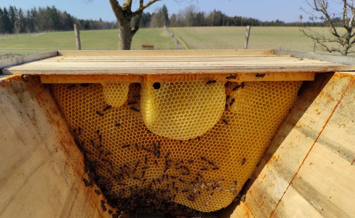 Bienenstand in Sindlhausen