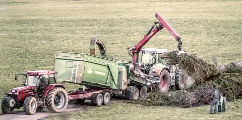 Häcksler verlädt Astwerk