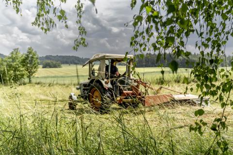 Mähen mit dem Traktor