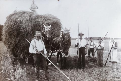 Erntehelfer mit Pferdewagen